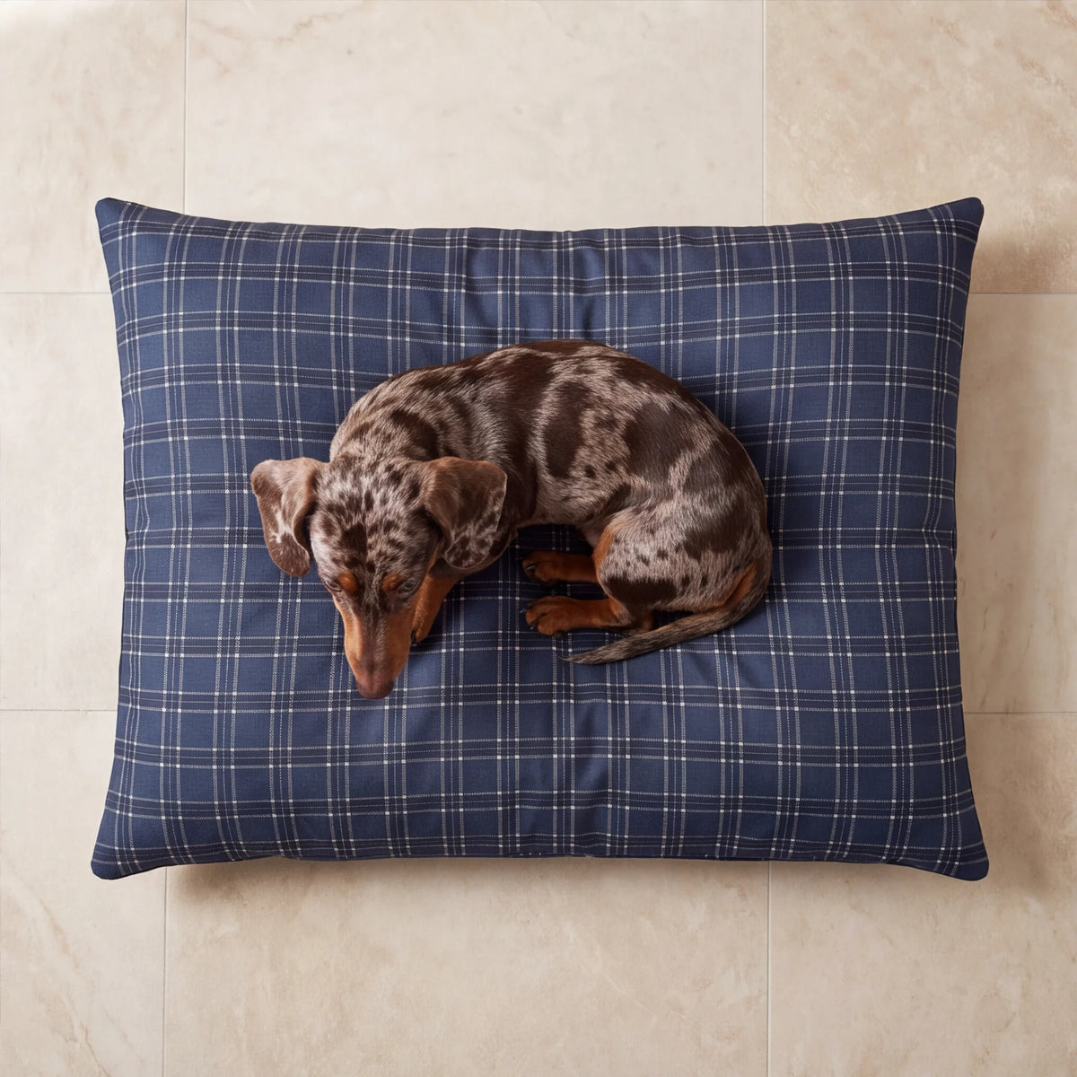 Perro salchicha tumbado sobre cama para perro desenfundable antimanchas de cuadros azul marino