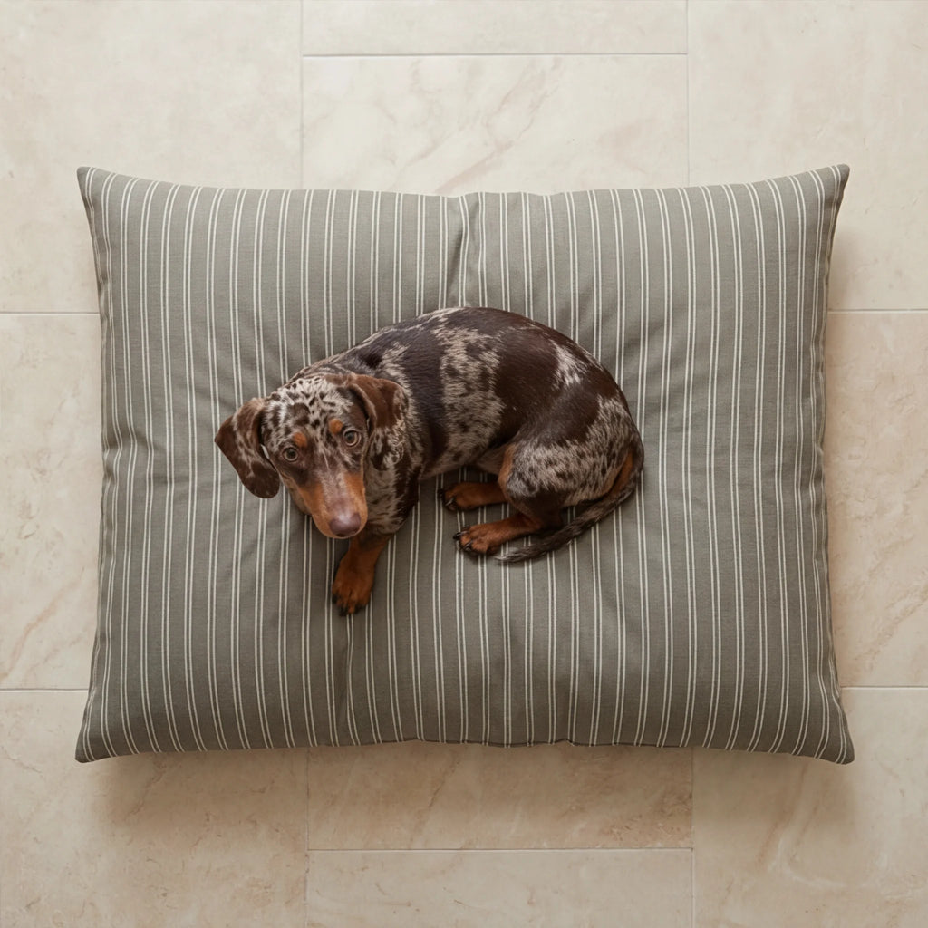 Canela stain-resistant removable pet bed