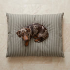 Canela stain-resistant removable pet bed