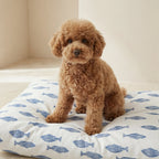 Stain-resistant pet bed cover Chiry