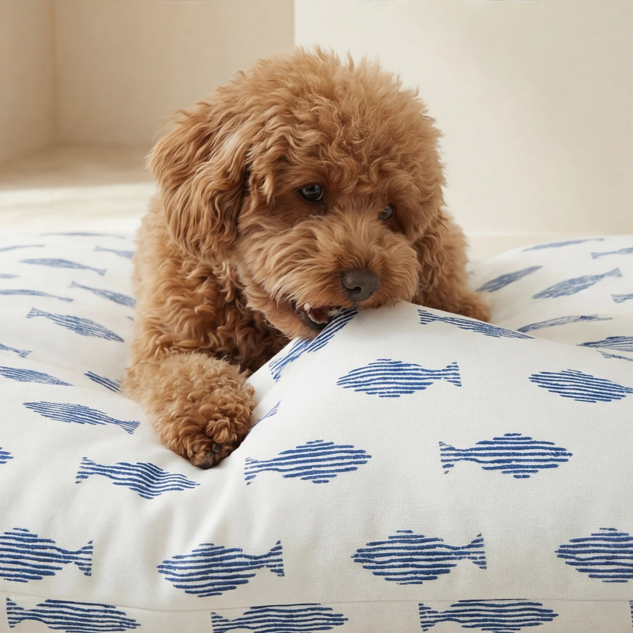 Stain-resistant pet bed cover Chiry
