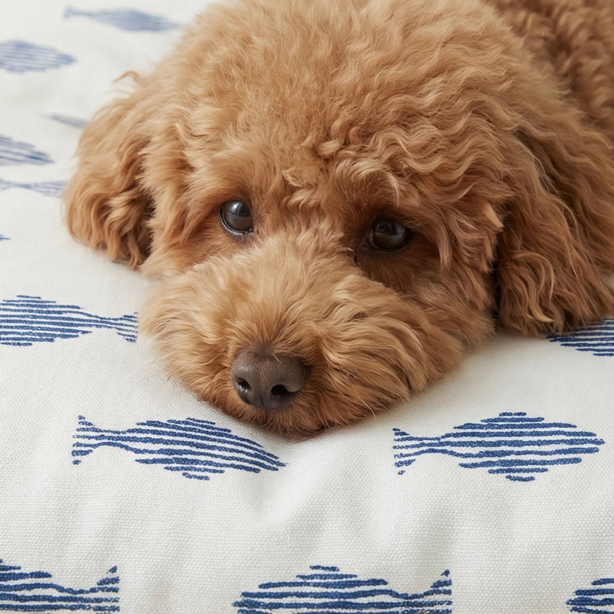 Stain-resistant pet bed cover Chiry