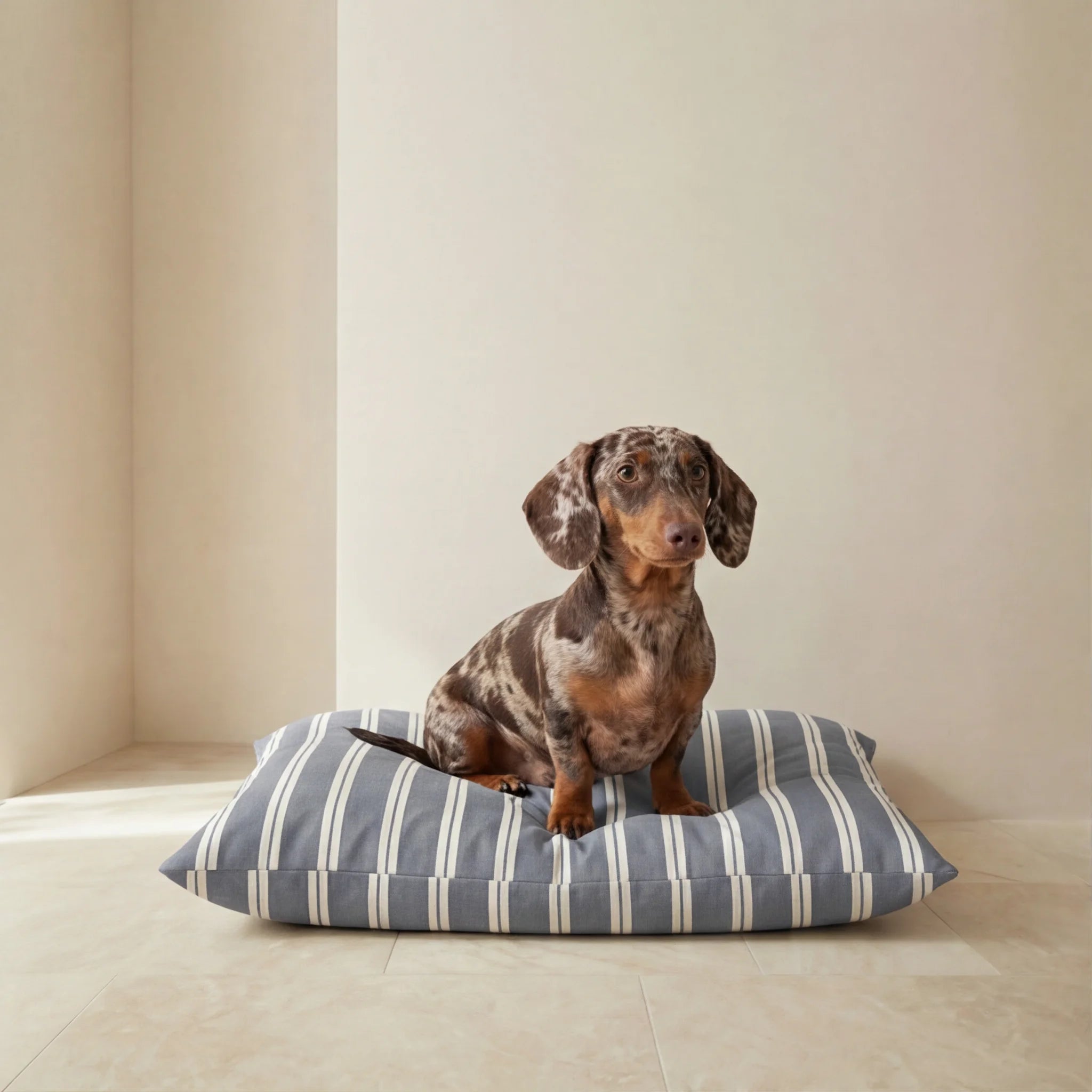 Chispa Stain-Resistant Removable Pet Bed