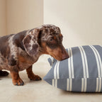 Lit pour animaux déhoussable et antitaches Chispa