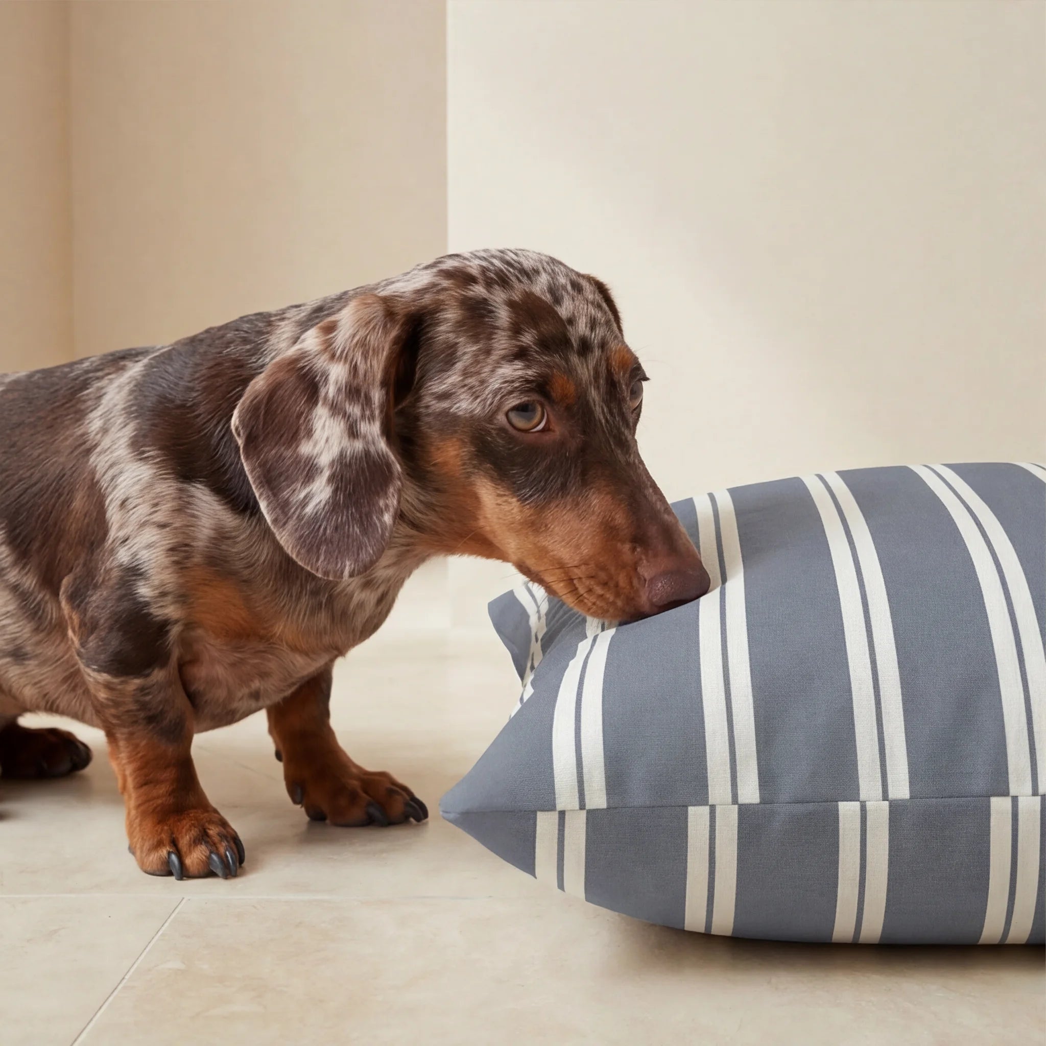 Chispa Stain-Resistant Removable Pet Bed