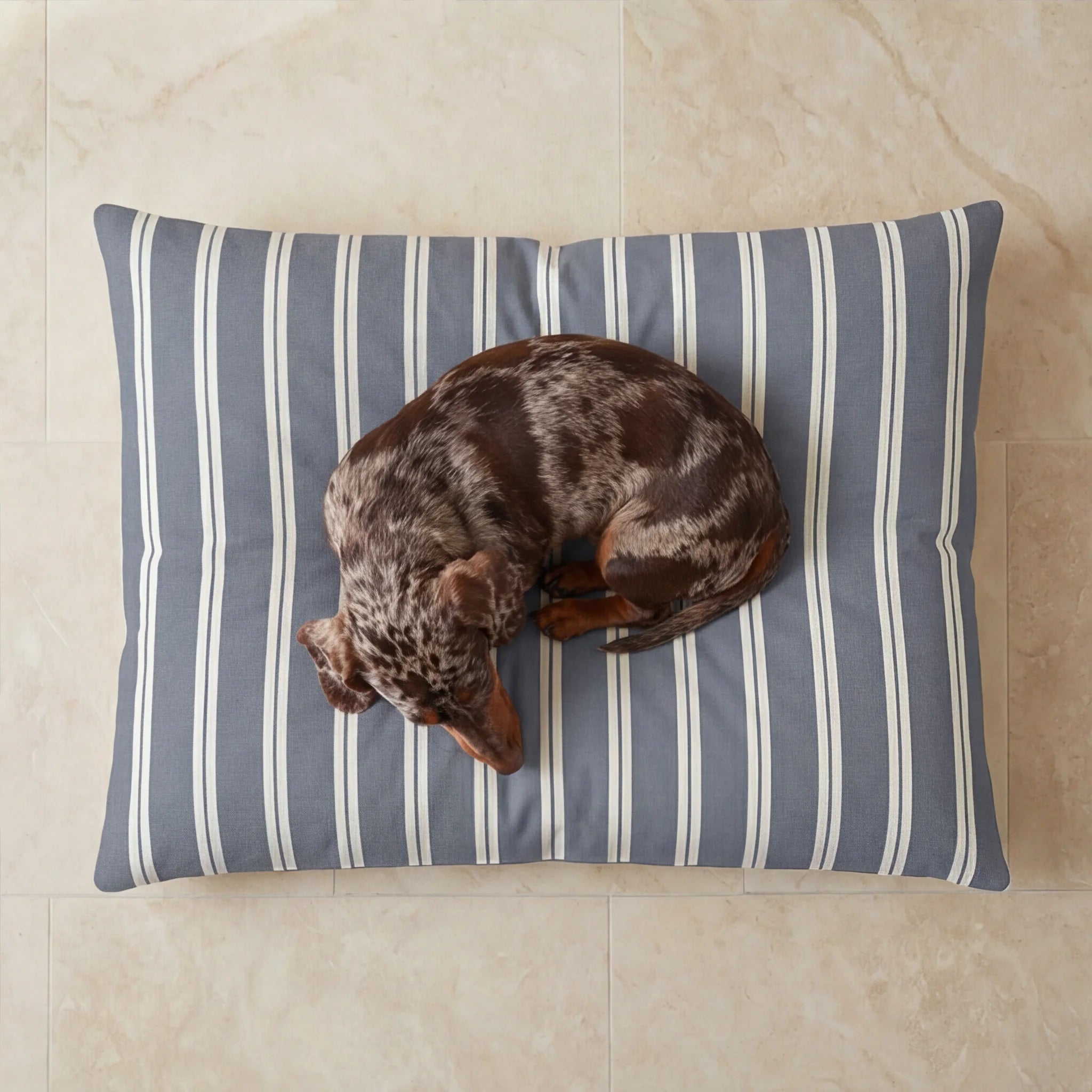 Chispa Stain-Resistant Removable Pet Bed