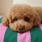 Stain-resistant pet bed cover Copo