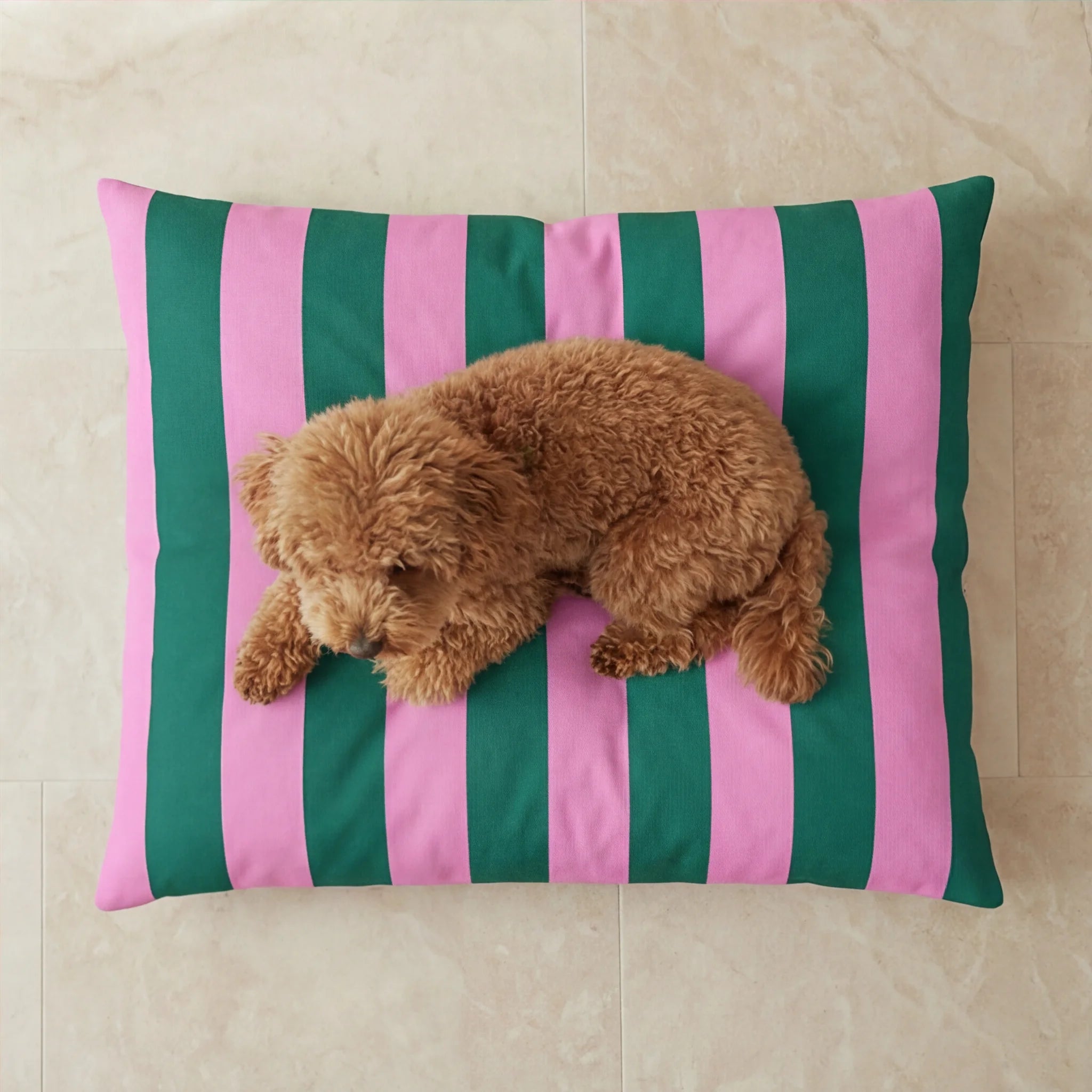 Stain-resistant removable pet bed Copo