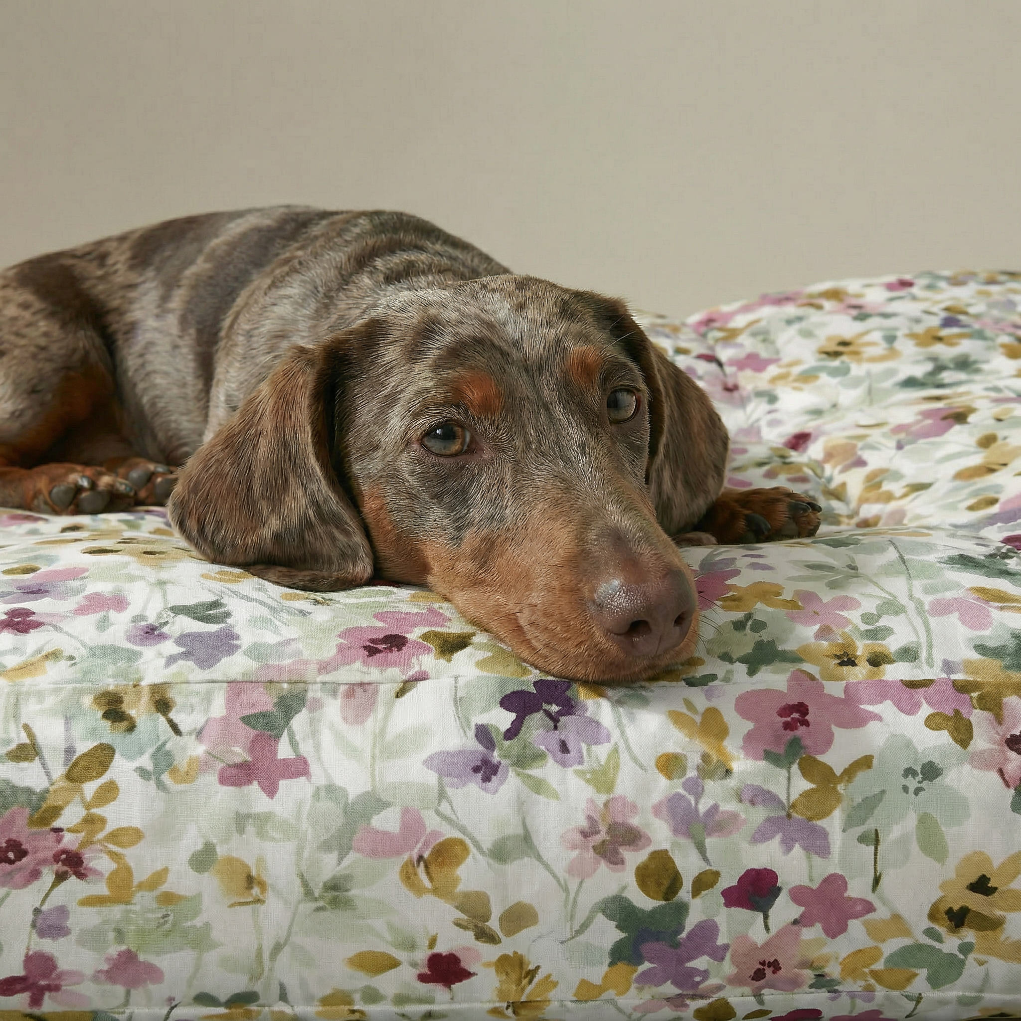 Cama para mascota gruesa y acolchada con acabado antimanchas Peter