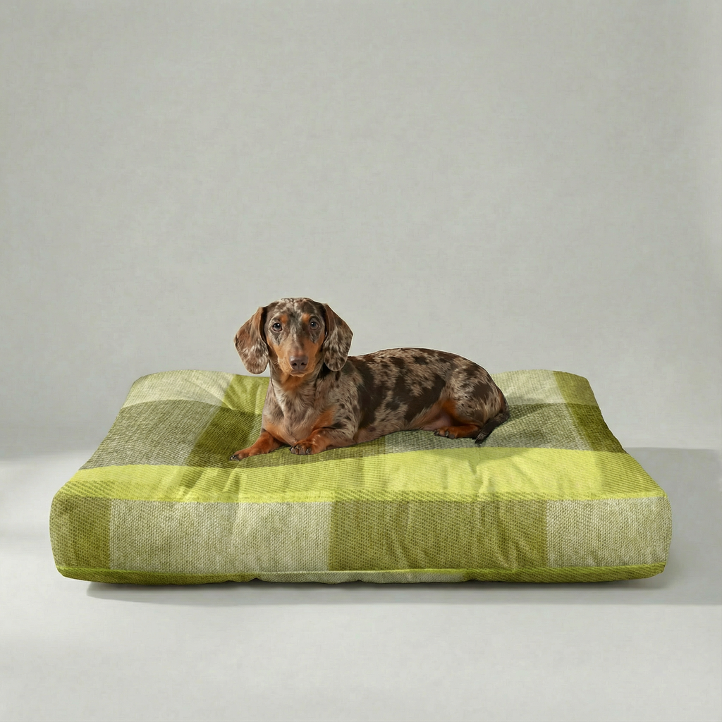Thick, padded pet bed with stain-resistant finish, Bath Green