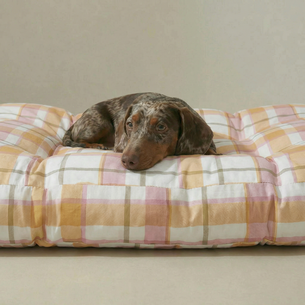 Lit pour animaux de compagnie Morella, épais et rembourré, avec finition résistante aux taches