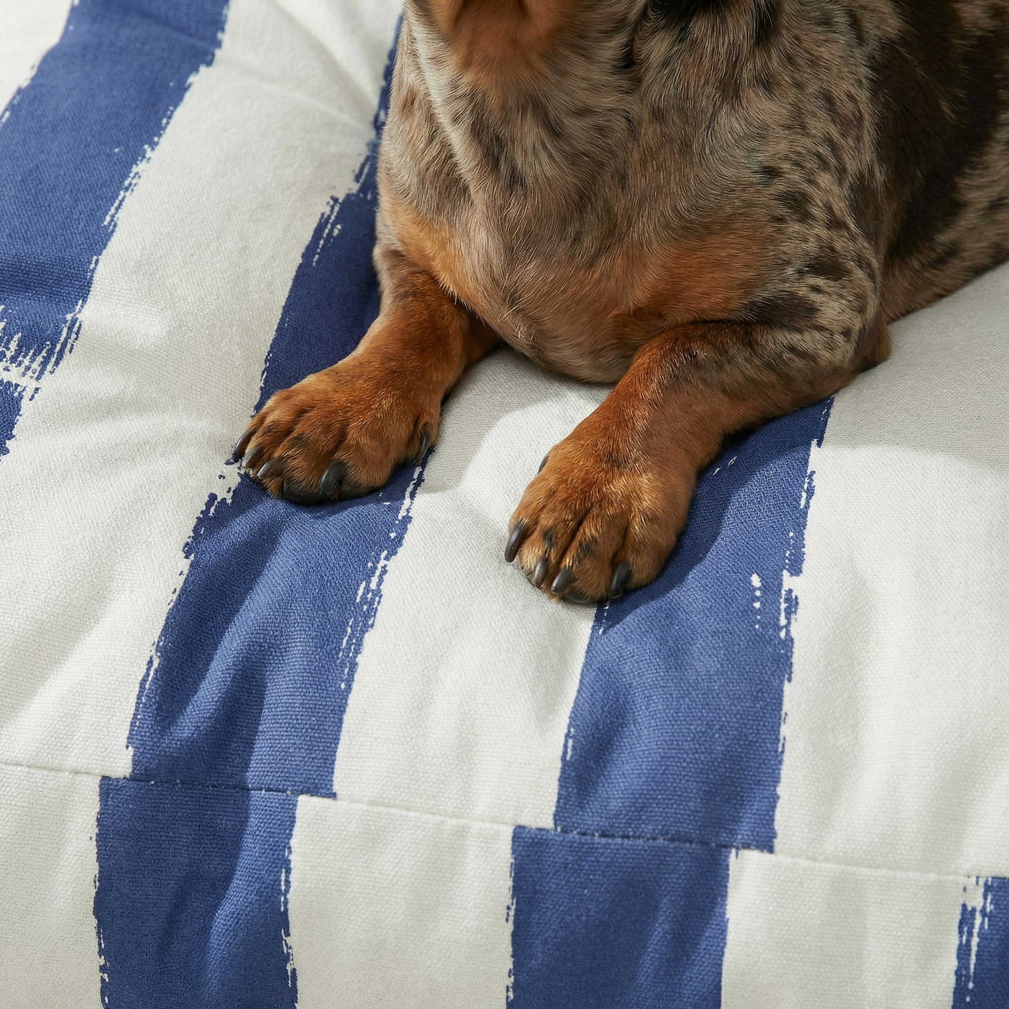 Panier épais et rembourré pour animaux de compagnie avec finition anti-taches, Cambrils