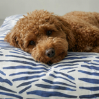 Gavina Thick Padded Pet Bed with Stain-Resistant Finish