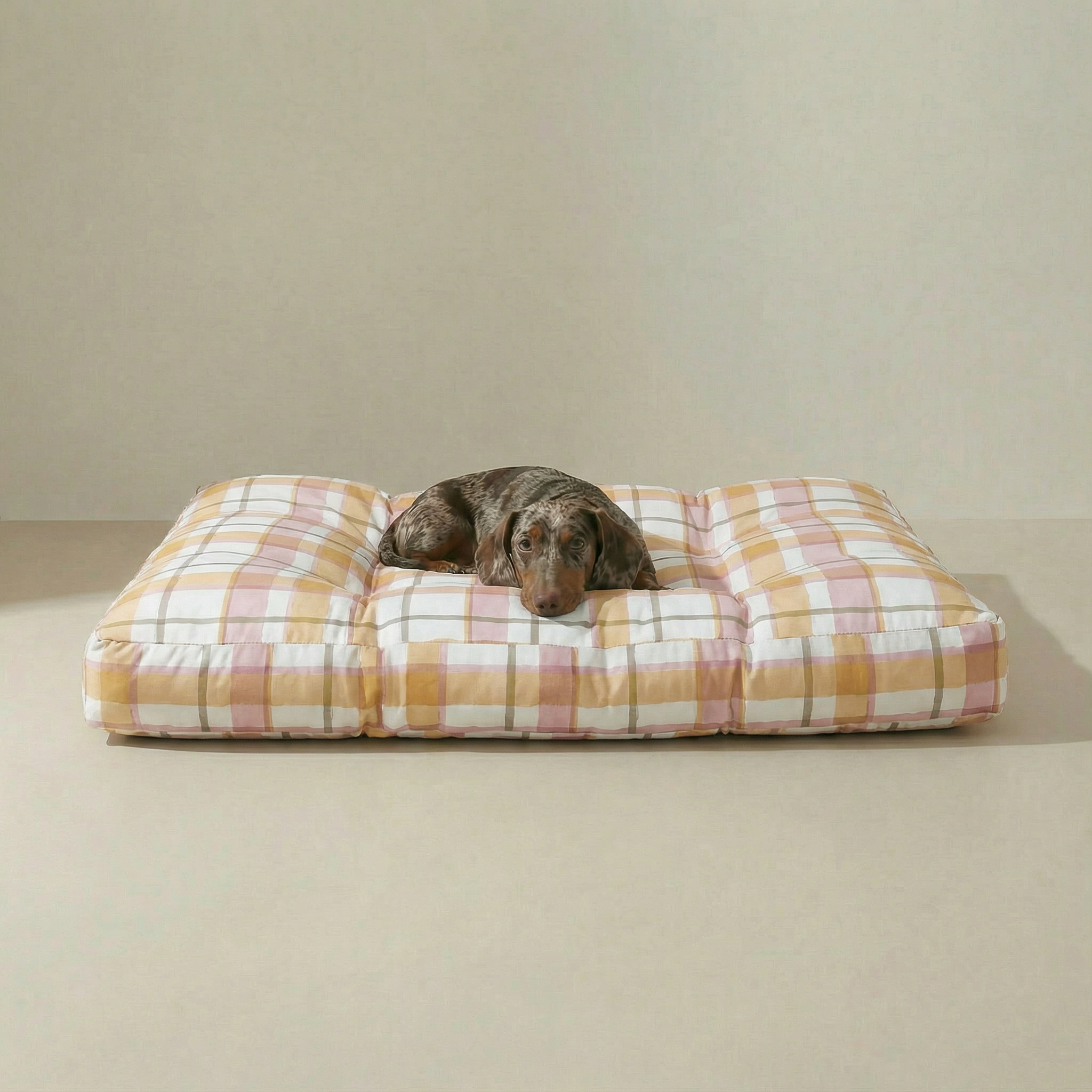 Lit pour animaux de compagnie Morella, épais et rembourré, avec finition résistante aux taches