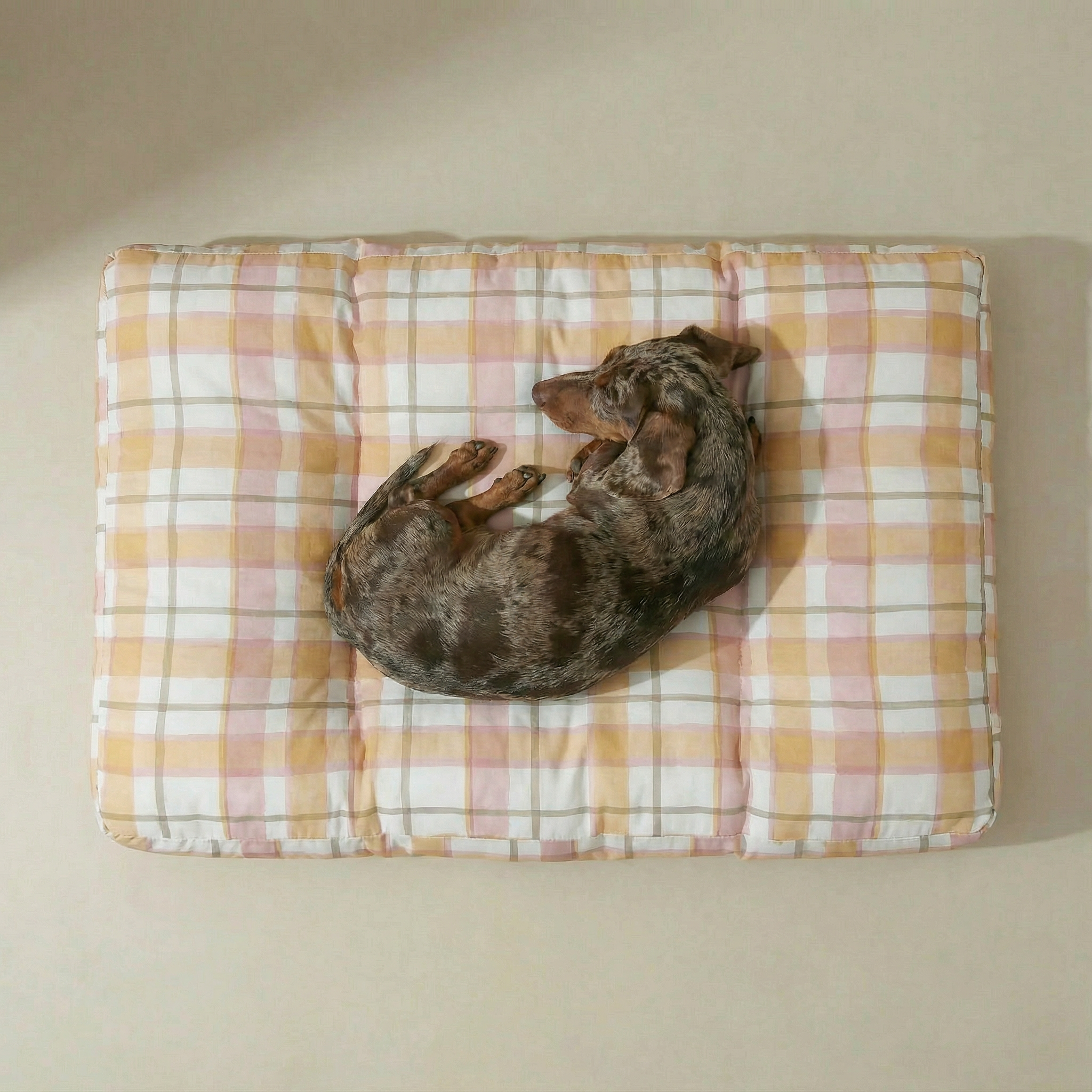 Lit pour animaux de compagnie Morella, épais et rembourré, avec finition résistante aux taches