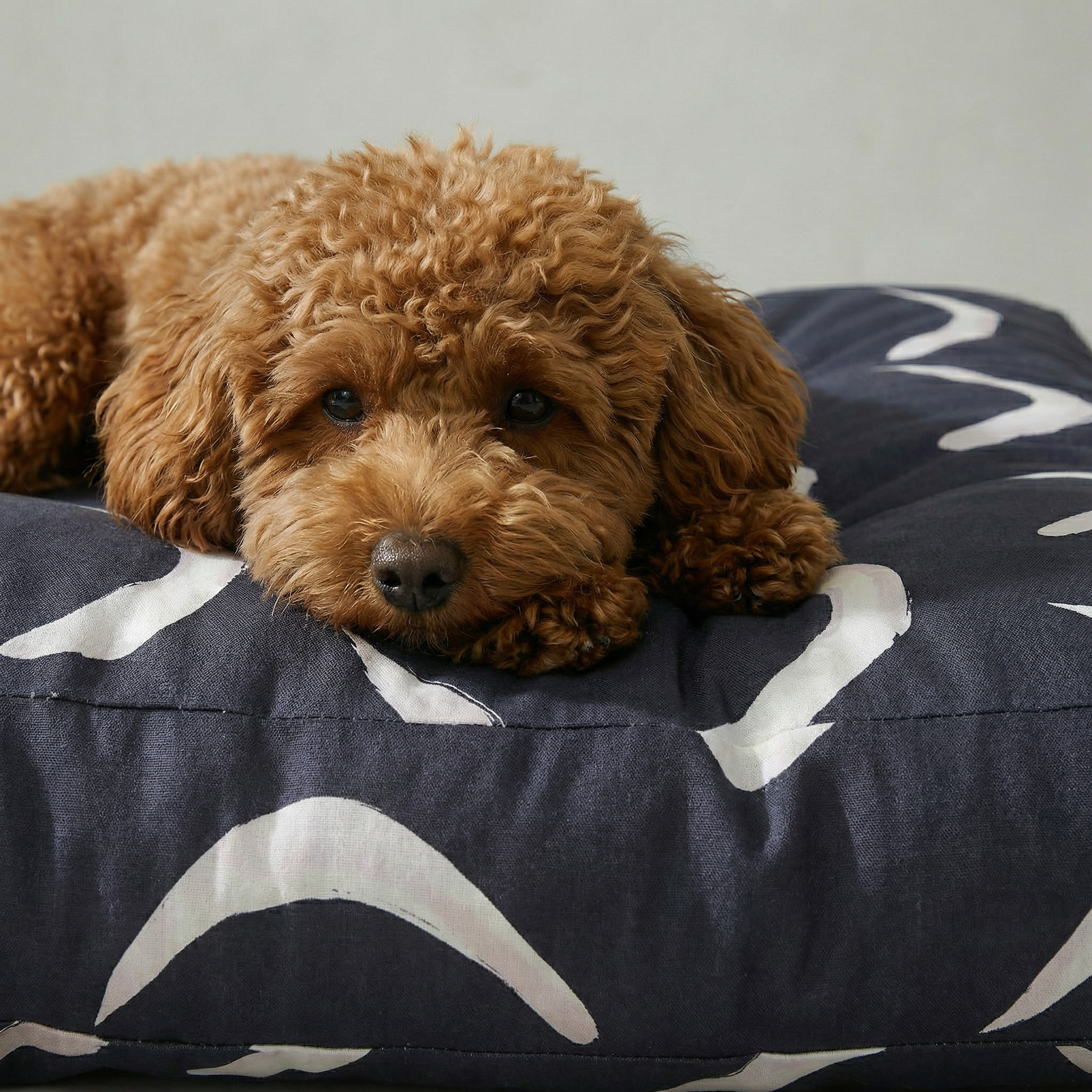 Cama para mascota gruesa y acolchada con acabado antimanchas Calella Azul
