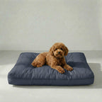 Cama para mascota gruesa y acolchada con acabado antimanchas Nua