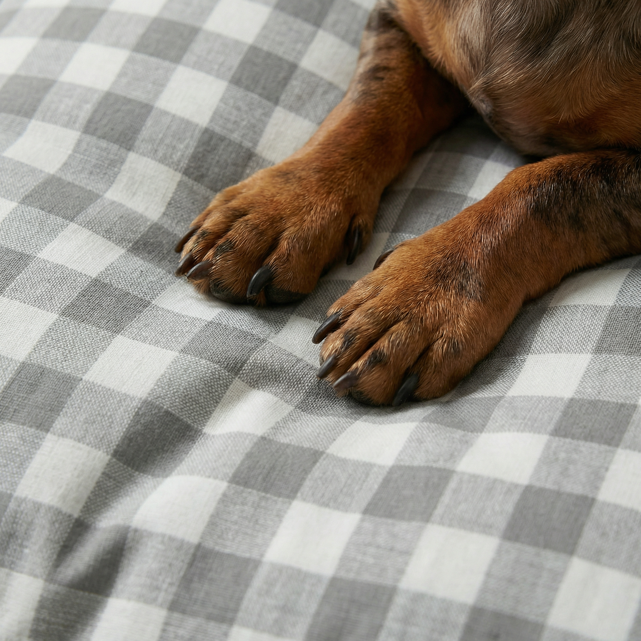 Cama para mascota gruesa y acolchada con acabado antimanchas Vichy Gris Claro