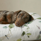 Cama para mascota gruesa y acolchada con acabado antimanchas 0120-362