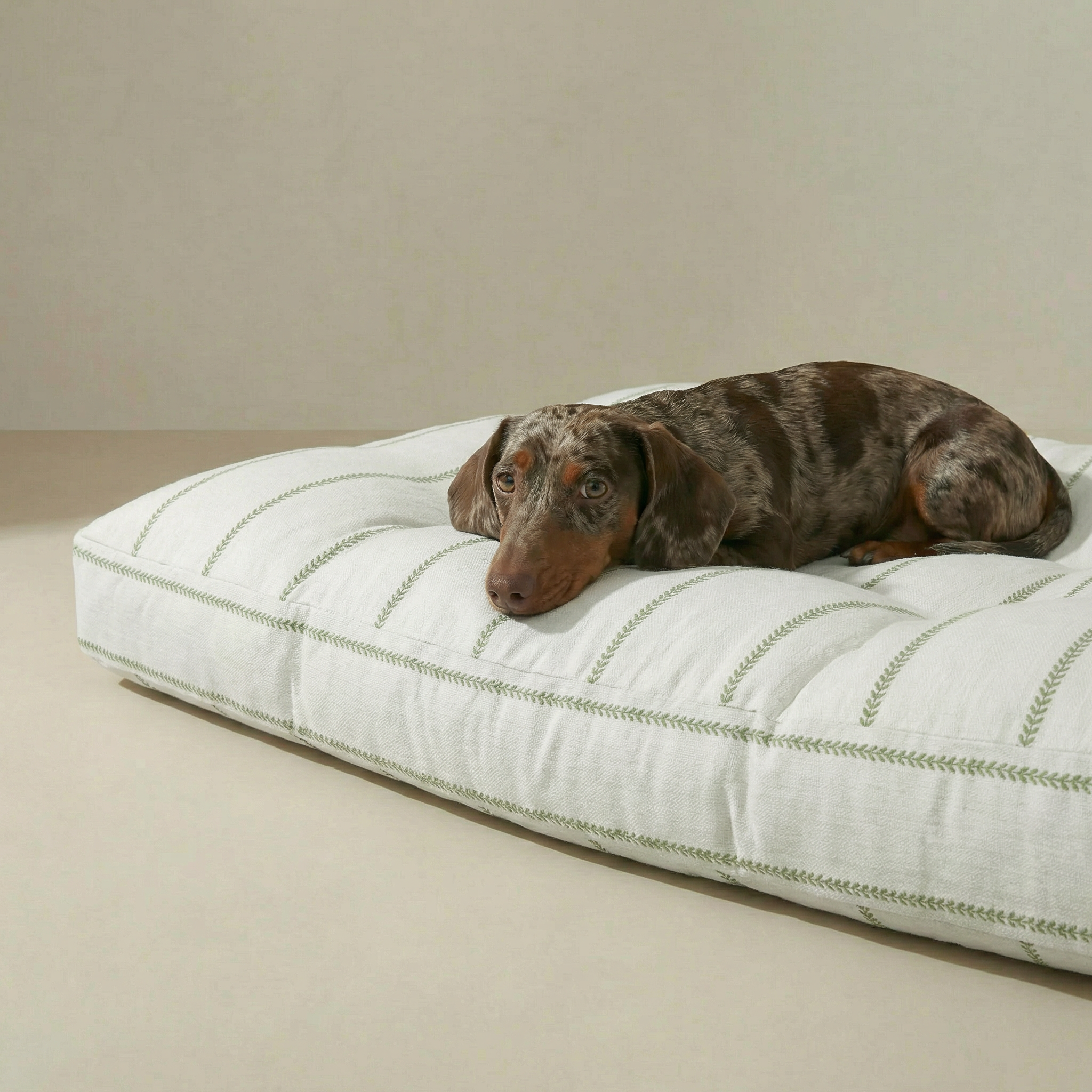 Cama para mascota gruesa y acolchada con acabado antimanchas Ian Green