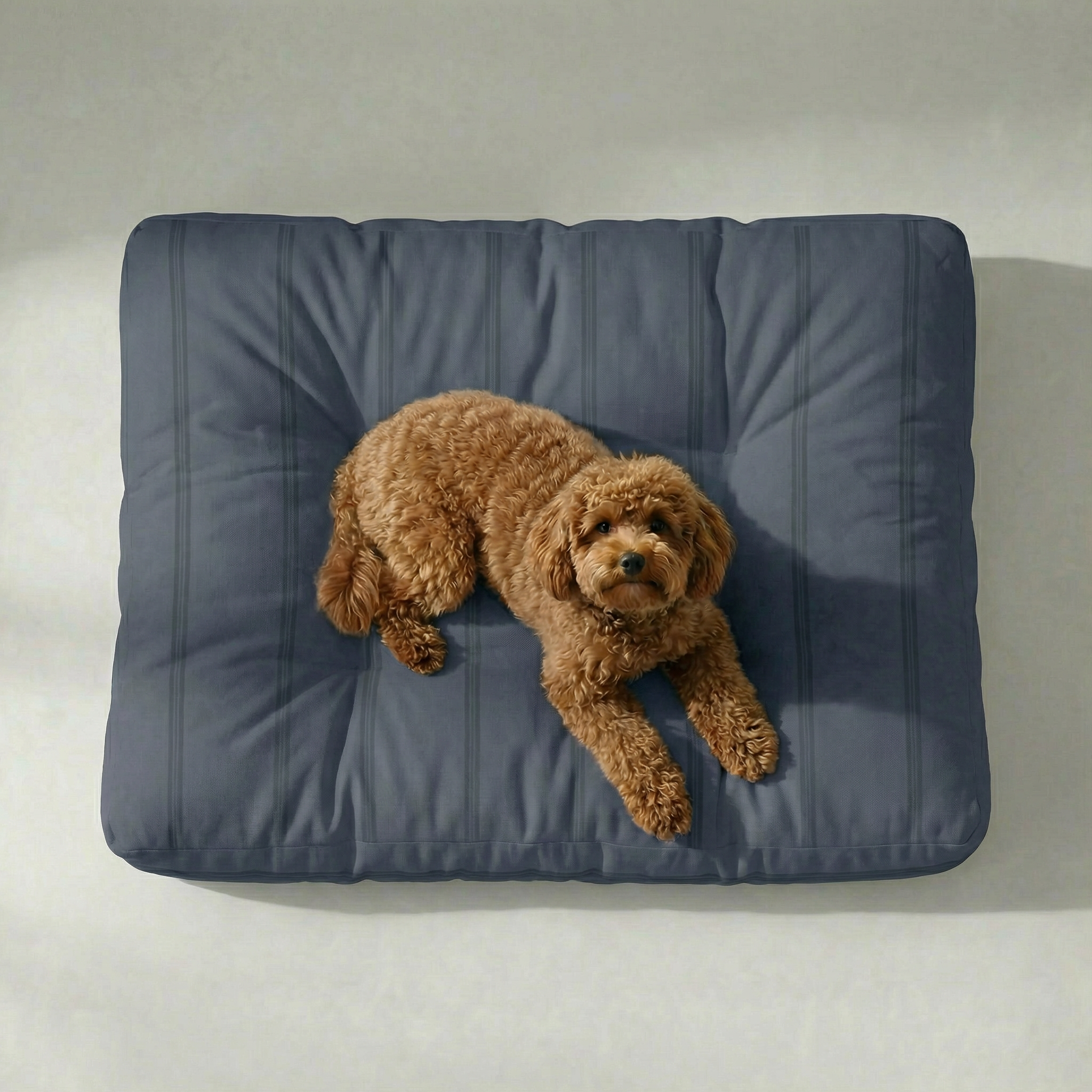 Cama para mascota gruesa y acolchada con acabado antimanchas Nua