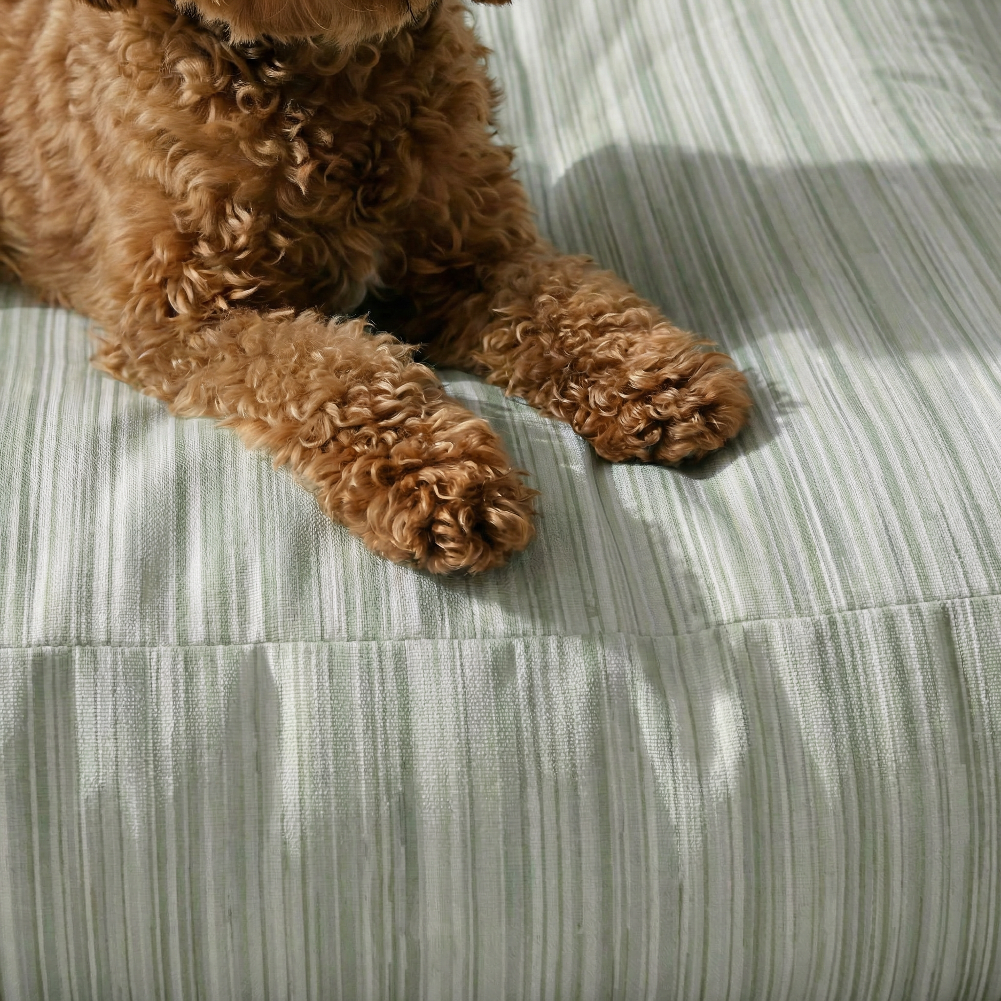 Cama para mascota gruesa y acolchada con acabado antimanchas Lluc Verde