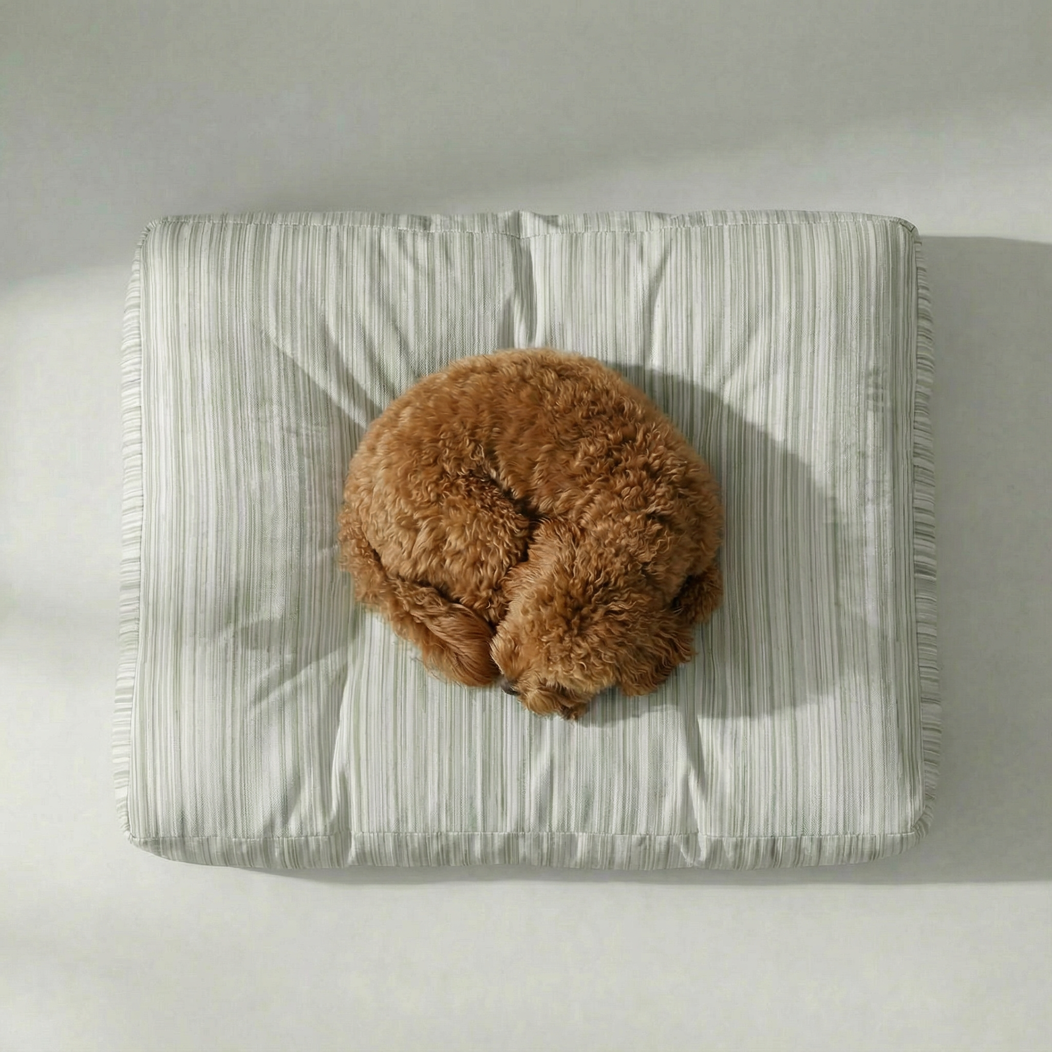 Cama para mascota gruesa y acolchada con acabado antimanchas Lluc Verde