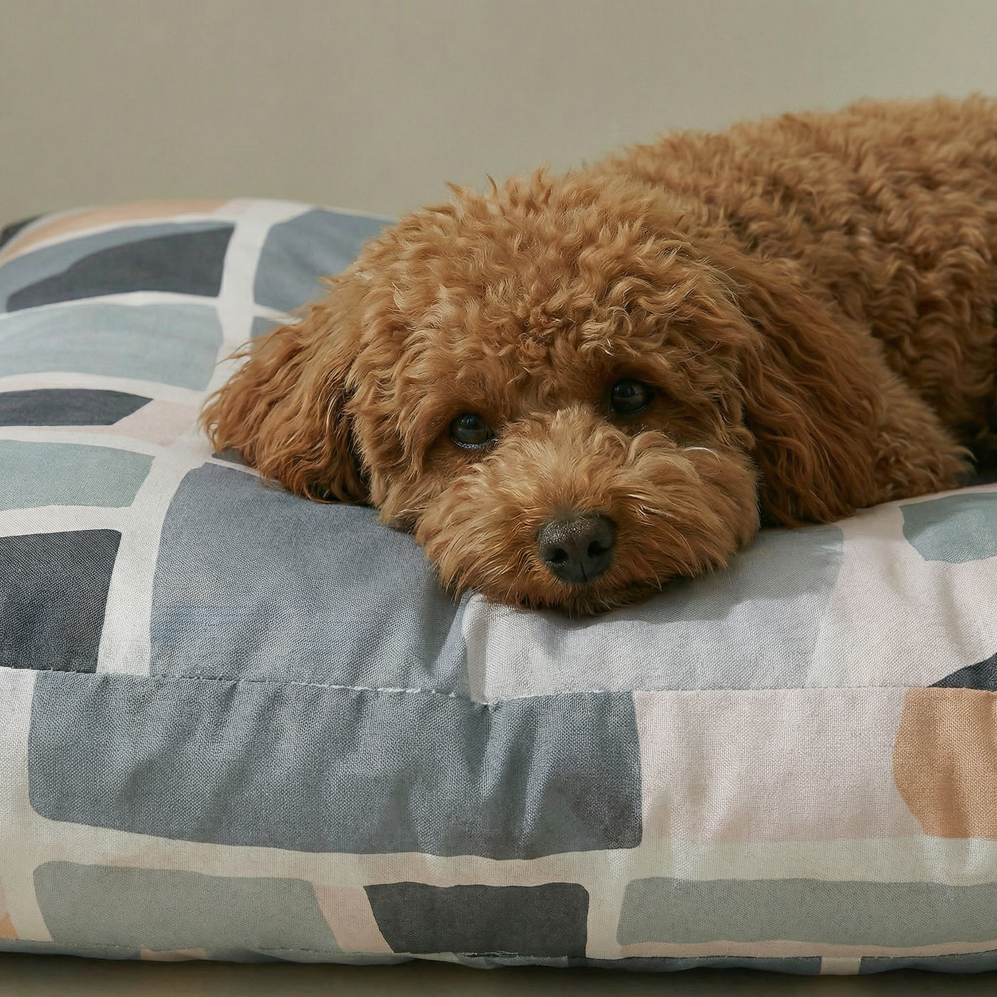 Panier épais et rembourré pour animaux de compagnie avec finition anti-taches, Peñíscola