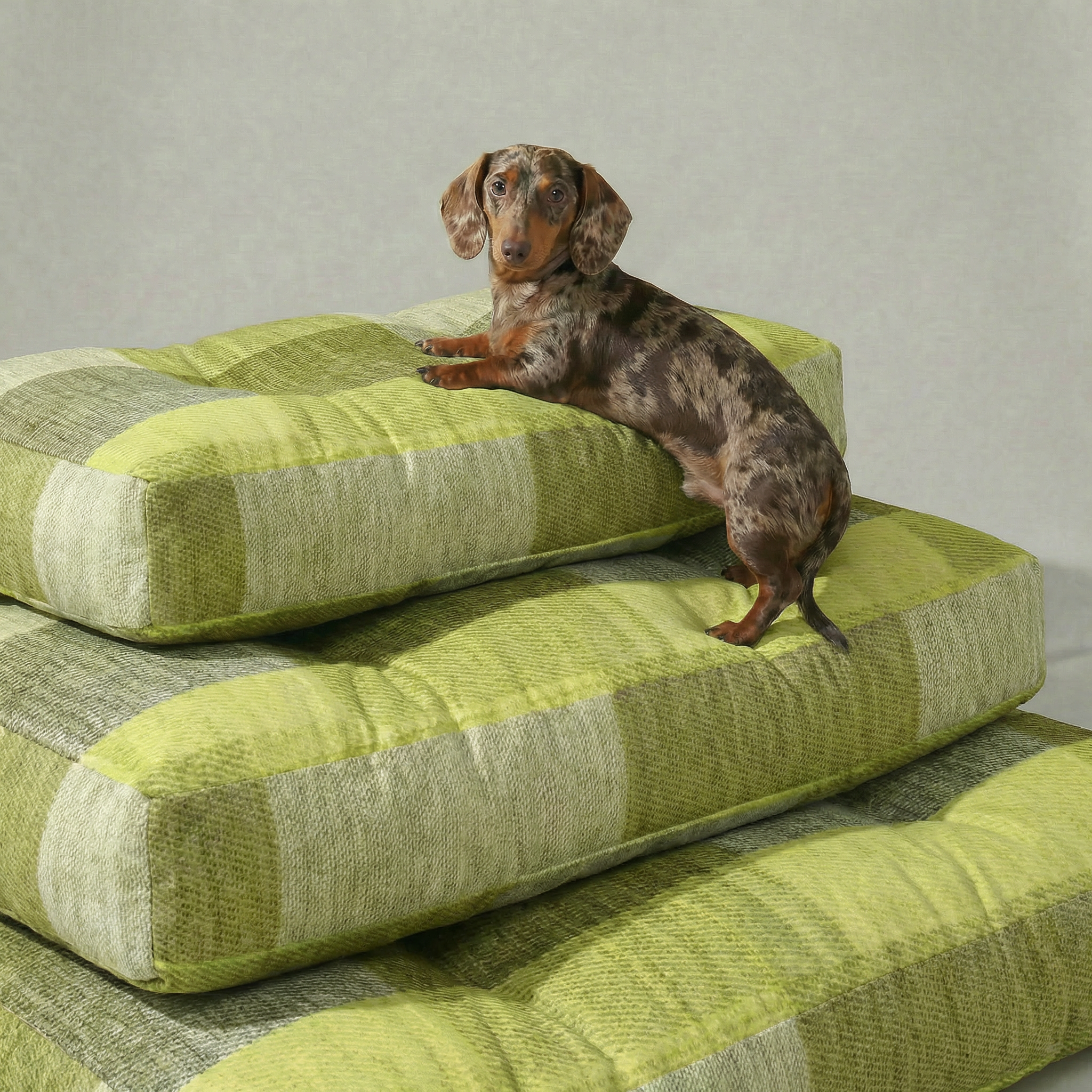 Cama para mascota gruesa y acolchada con acabado antimanchas Bath Verde
