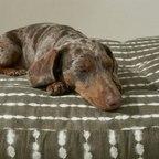 Cama para mascota gruesa y acolchada con acabado antimanchas Bolton 6