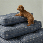 Cama para mascota gruesa y acolchada con acabado antimanchas Camilo Blue