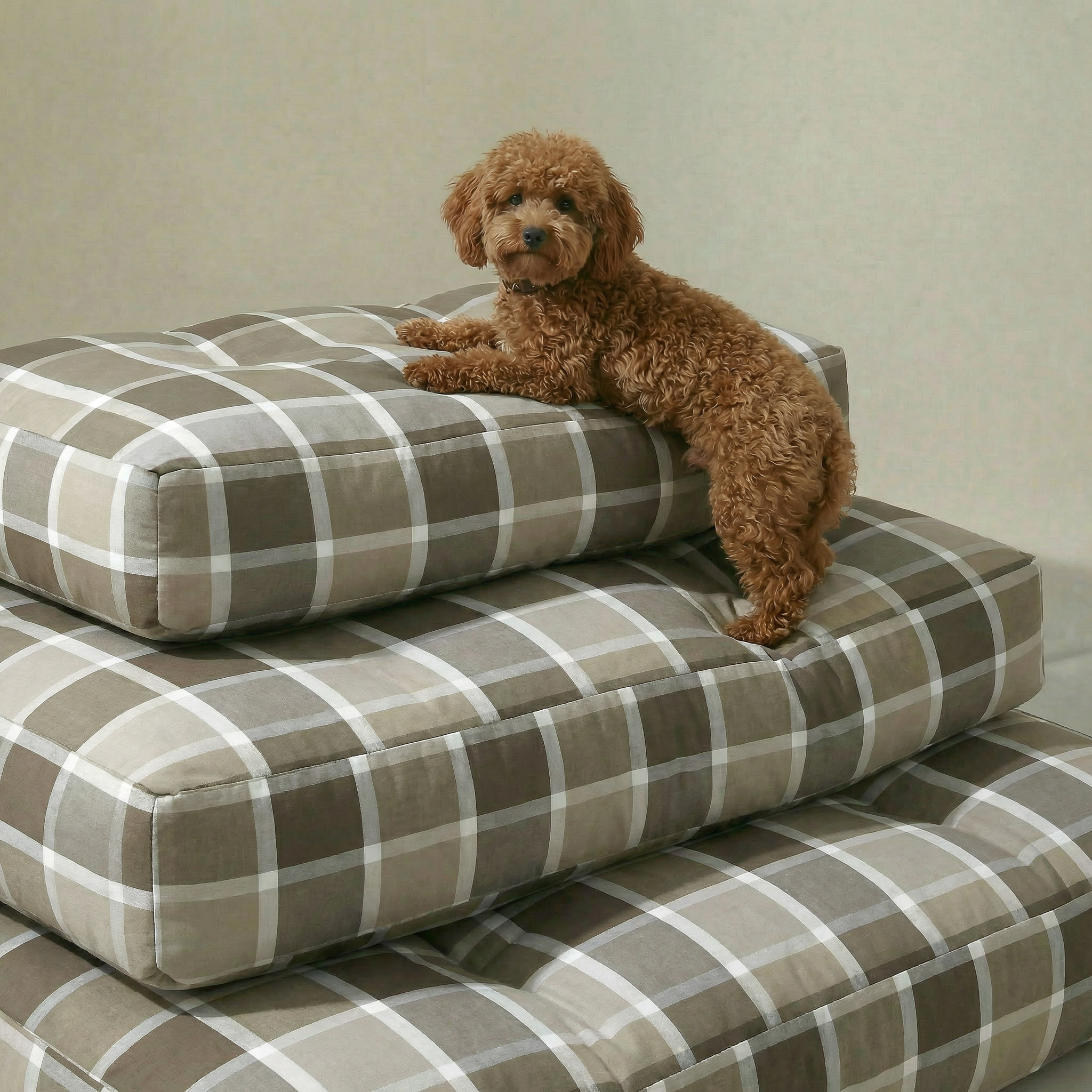 Cama para mascota gruesa y acolchada con acabado antimanchas Sutton Marron