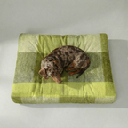 Thick, padded pet bed with stain-resistant finish, Bath Green