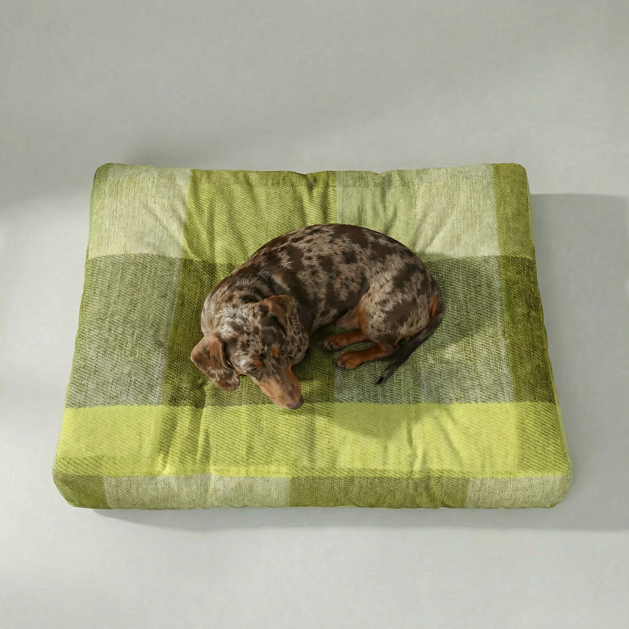 Cama para mascota gruesa y acolchada con acabado antimanchas Bath Verde