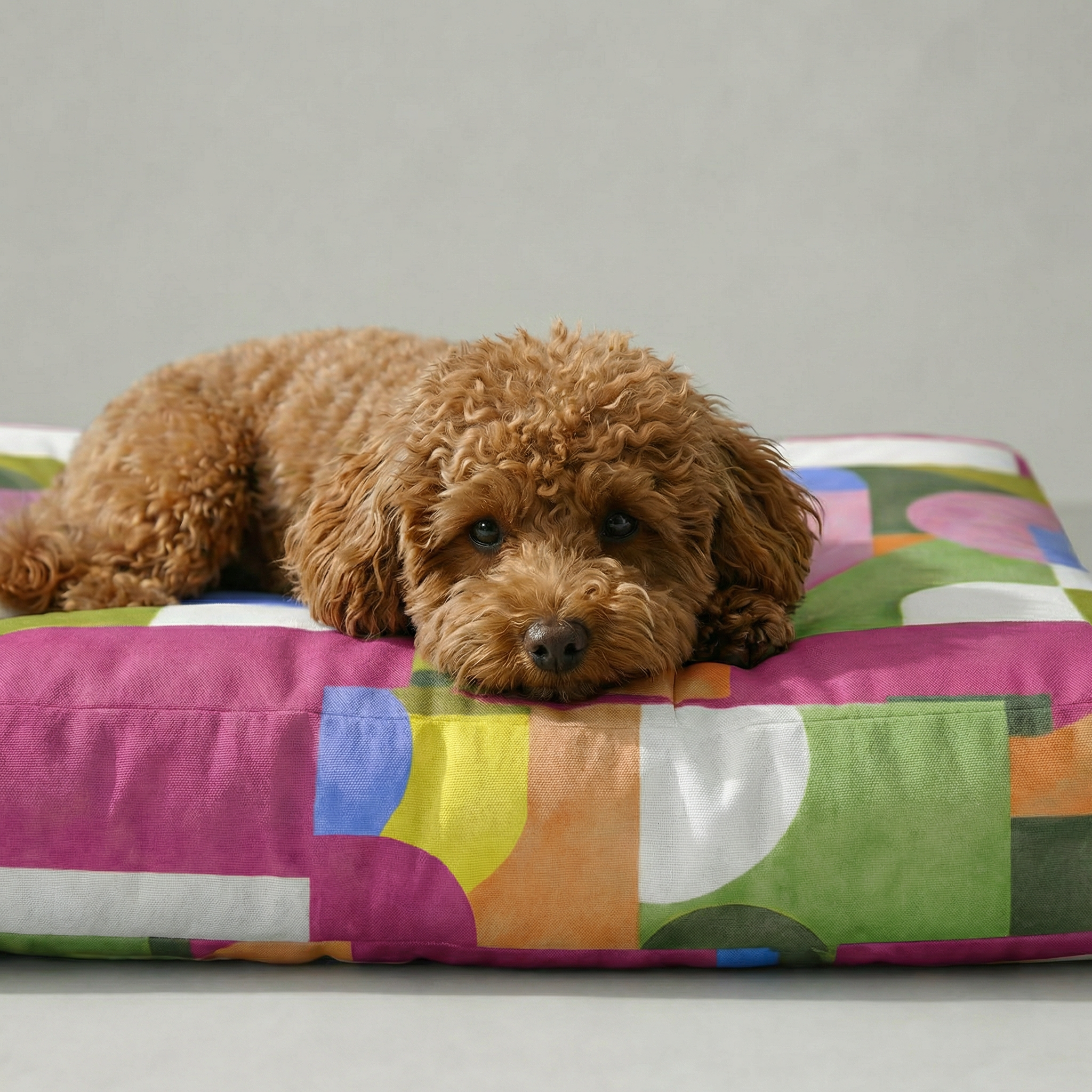 Cama para mascota gruesa y acolchada con acabado antimanchas Dundee