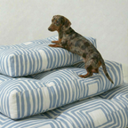 Lit épais et rembourré pour animaux de compagnie avec finition anti-taches Peñíscola B