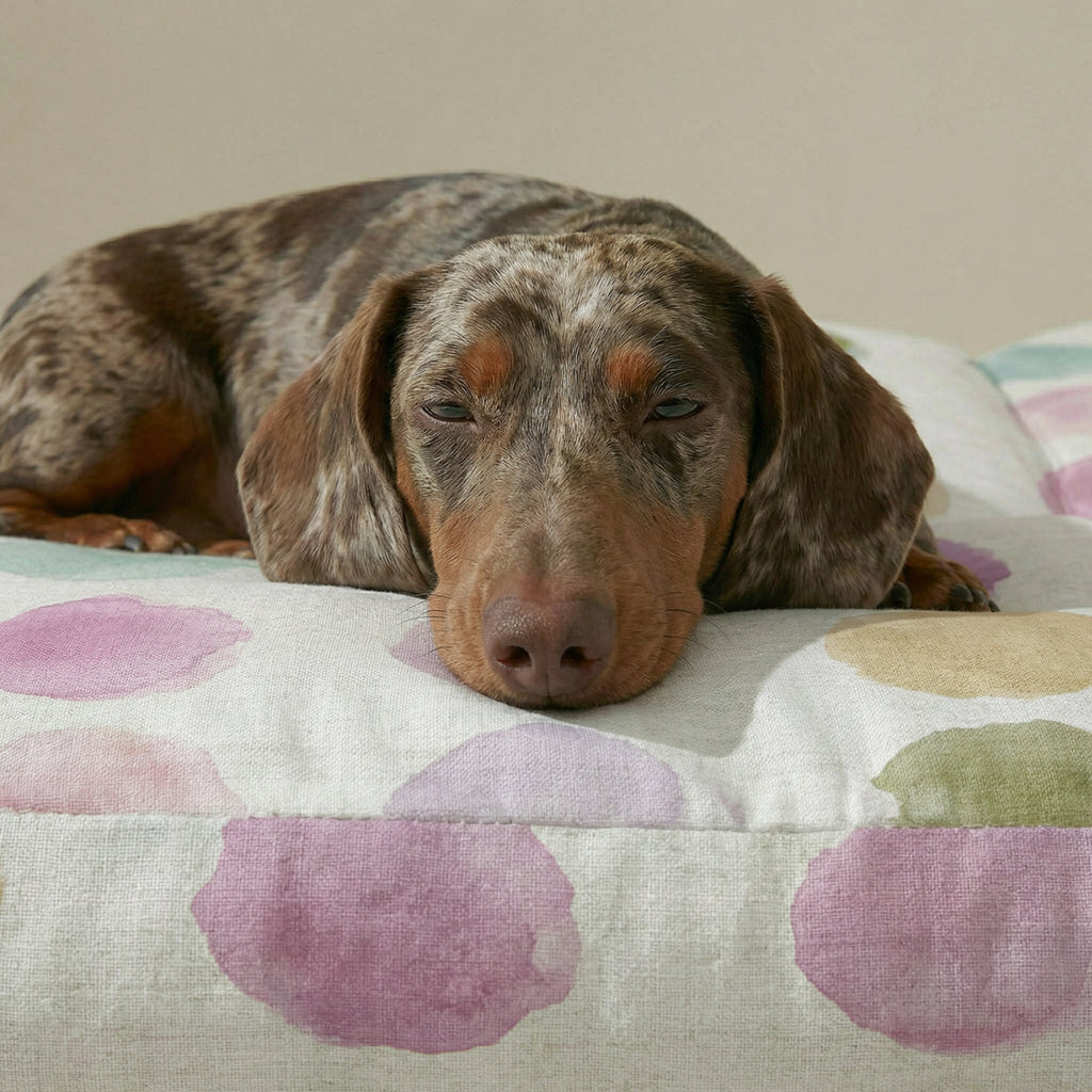 Cama para mascota gruesa y acolchada con acabado antimanchas Gari