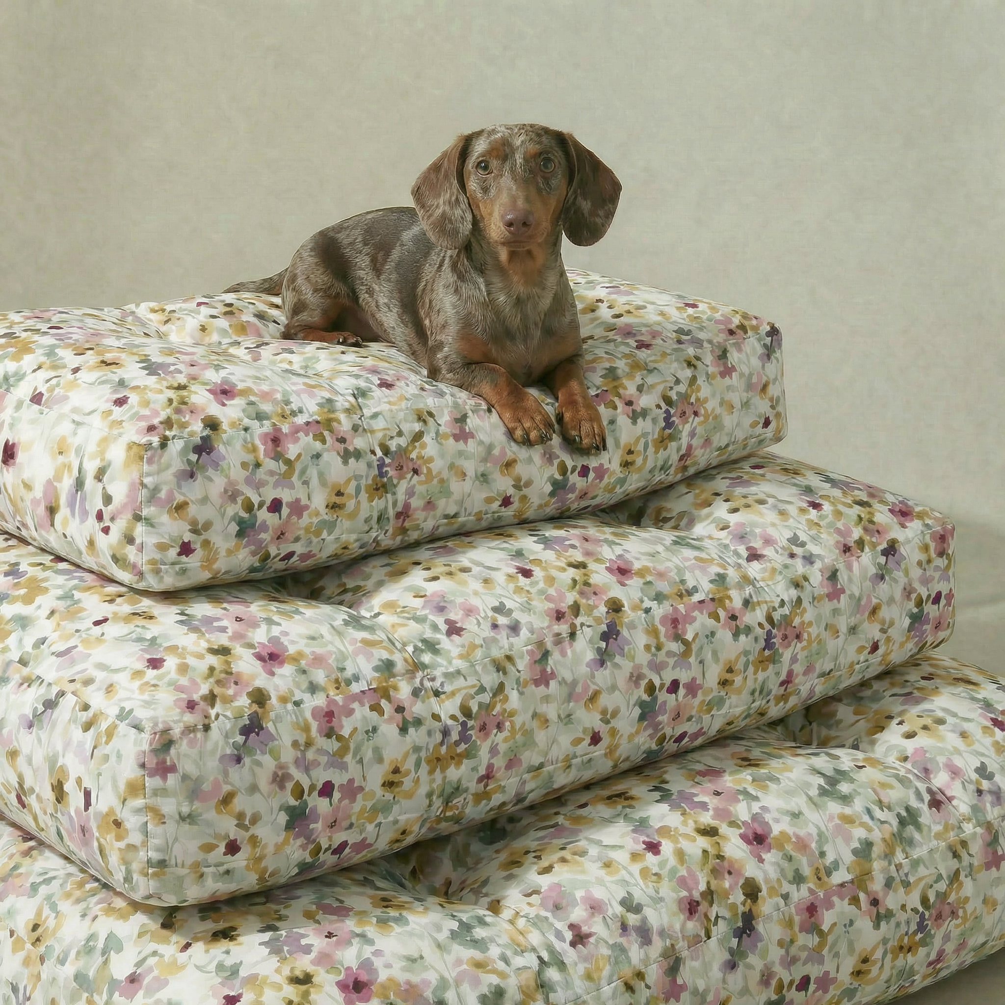 Cama para mascota gruesa y acolchada con acabado antimanchas Peter