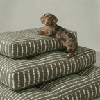 Cama para mascota gruesa y acolchada con acabado antimanchas Bolton 6