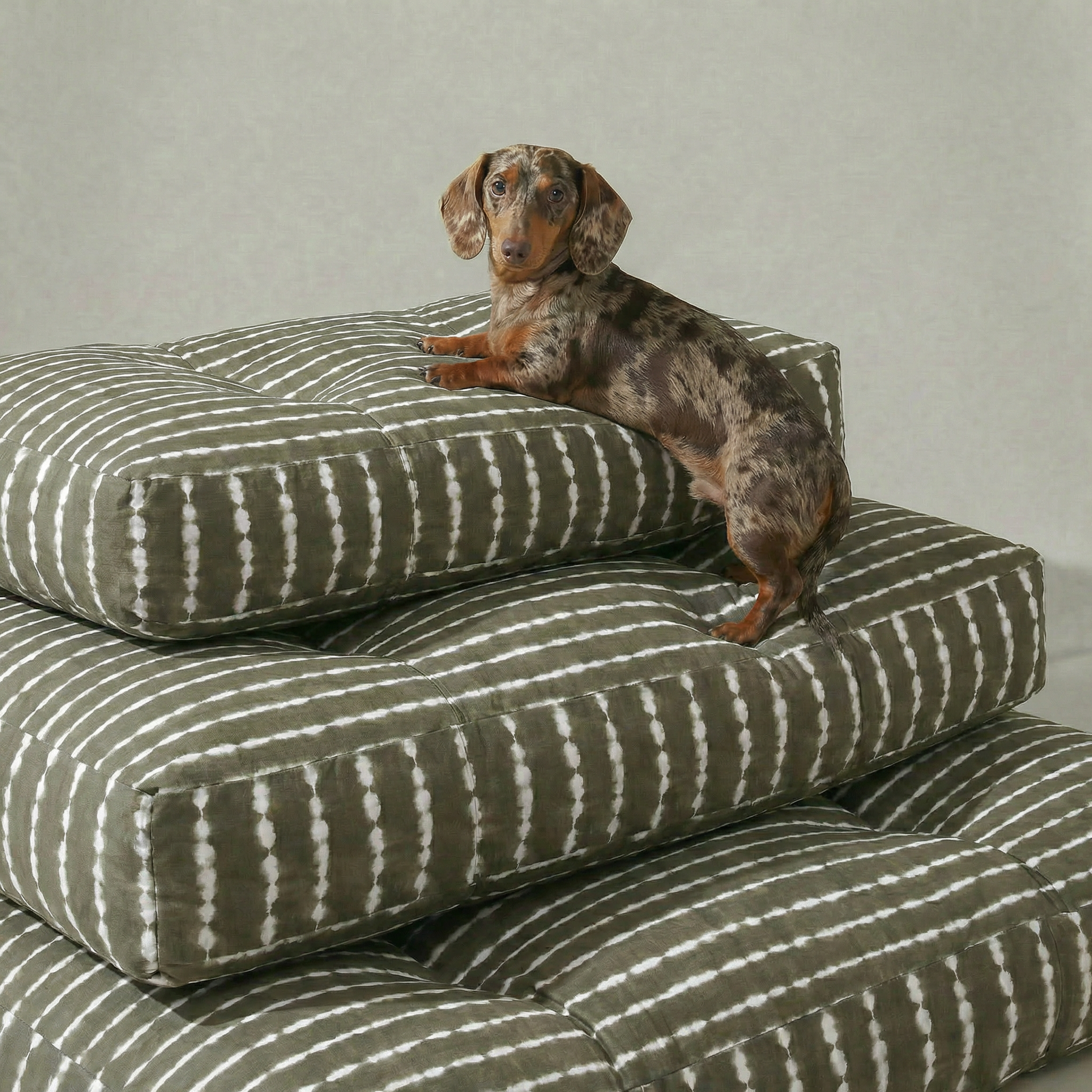 Cama para mascota gruesa y acolchada con acabado antimanchas Bolton 6