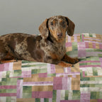 Cama para mascota gruesa y acolchada con acabado antimanchas Diss 1