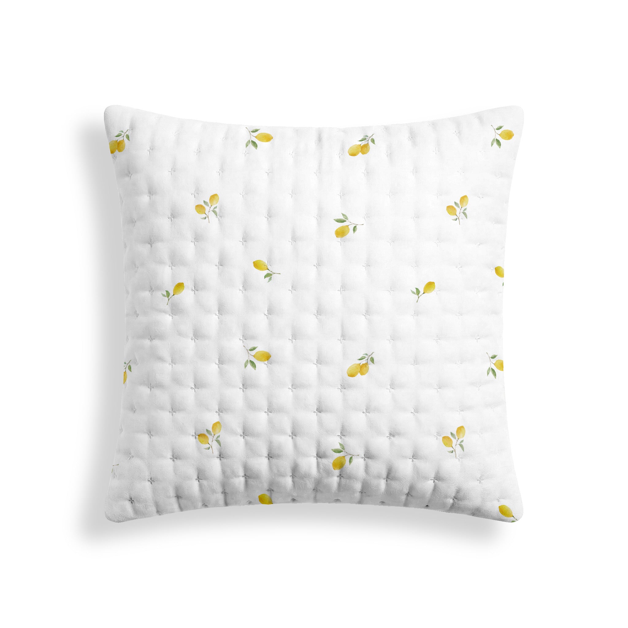 Eliana printed quilted pillow sham