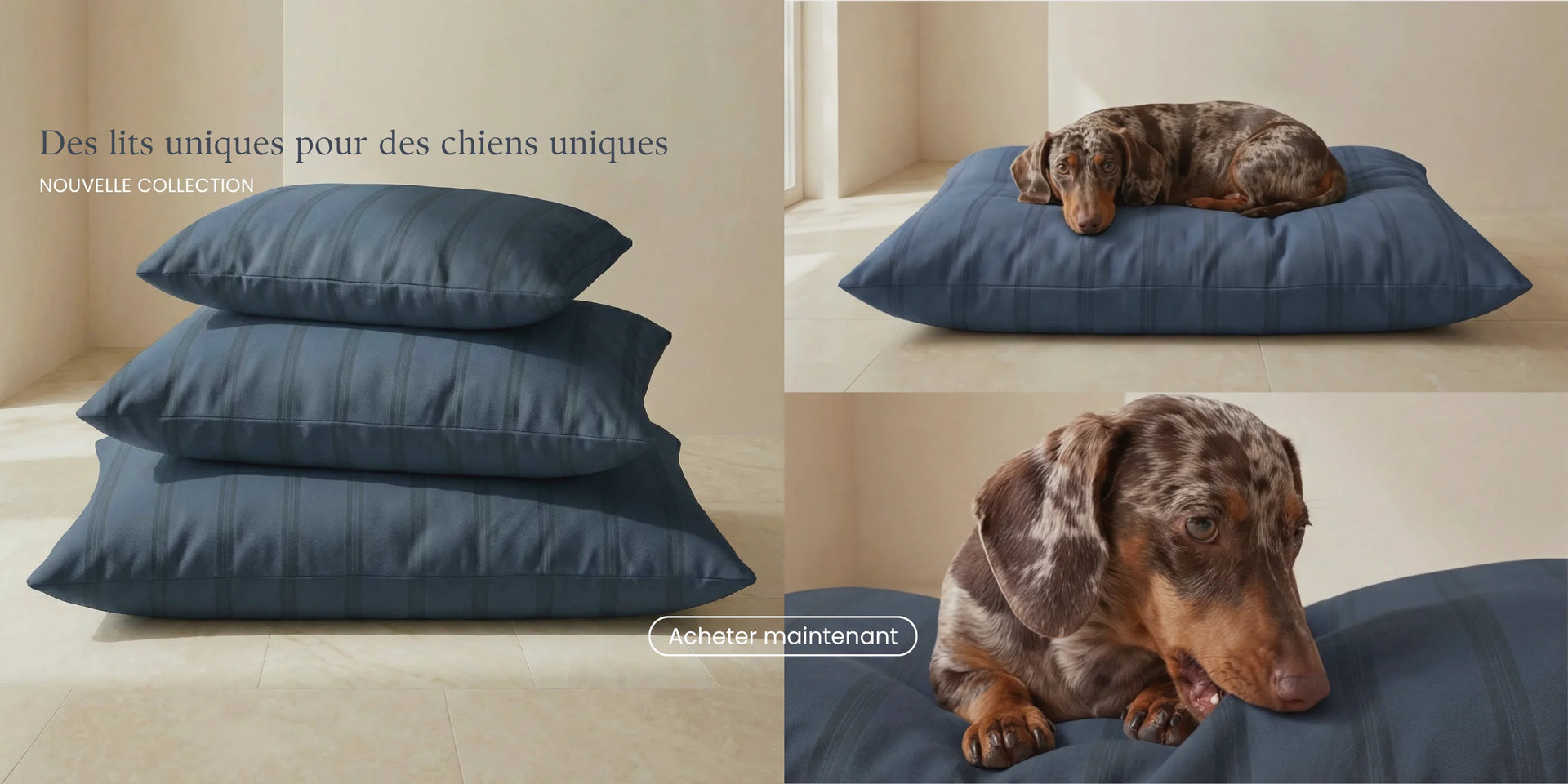 Lits pour chiens rembourrés en tissu bleu, disponibles en plusieurs tailles, avec un chien allongé sur l'un d'entre eux.