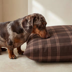 Gus stain-resistant pet bed with removable cover