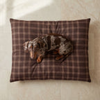 Gus stain-resistant pet bed with removable cover