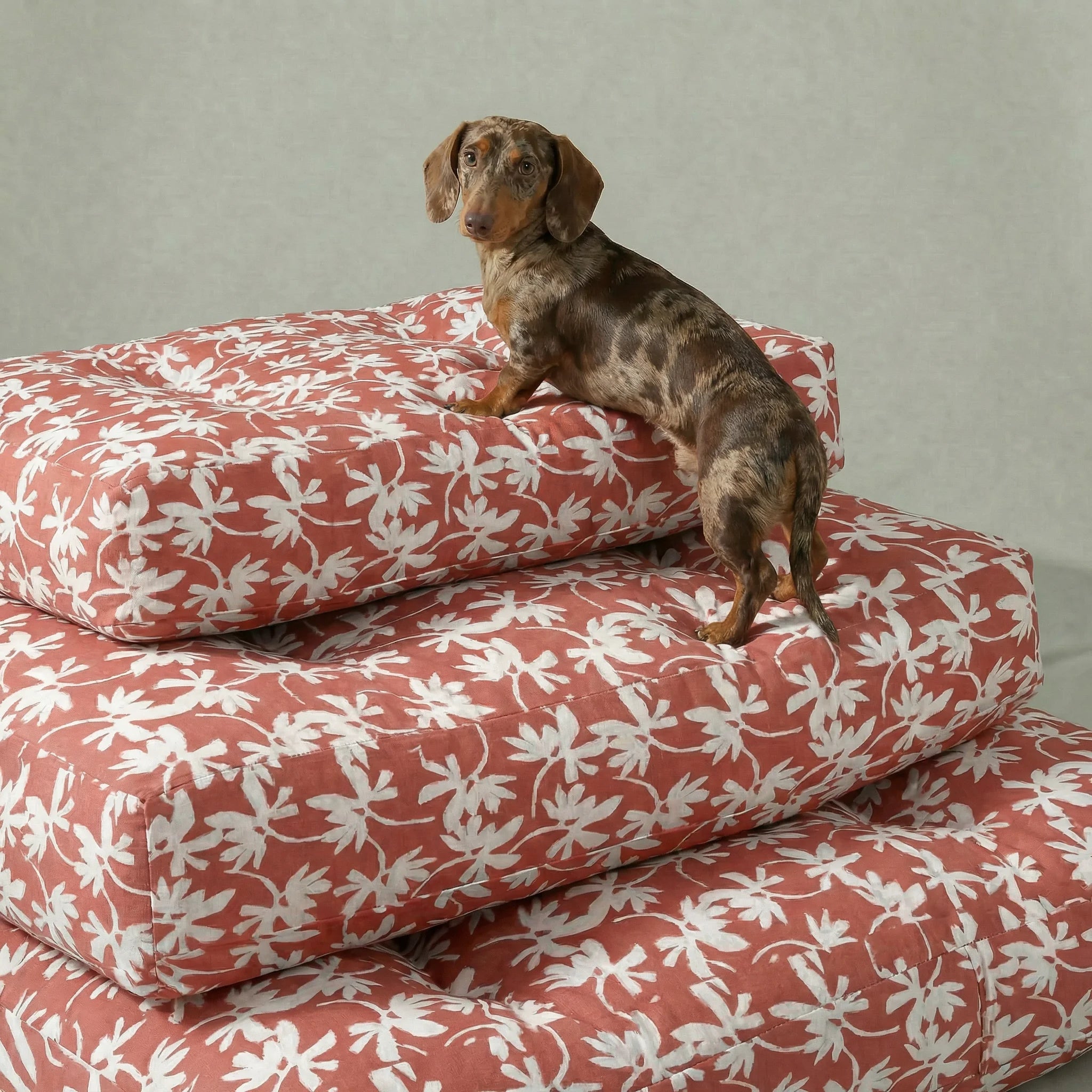 Cama para mascota gruesa y acolchada con acabado antimanchas Halton 25