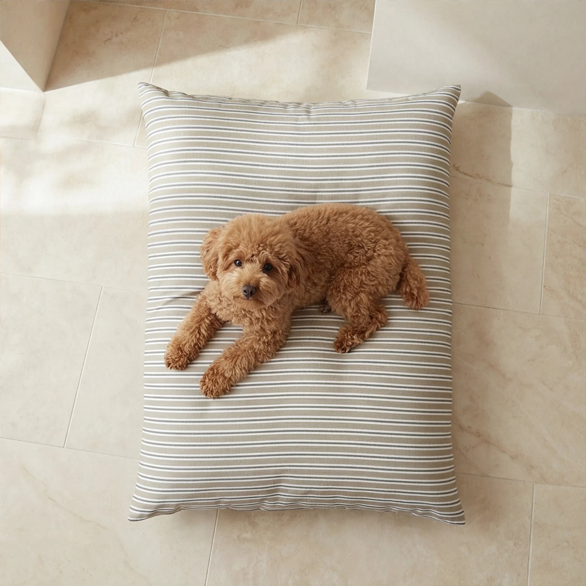 Joel removable stain-resistant pet bed