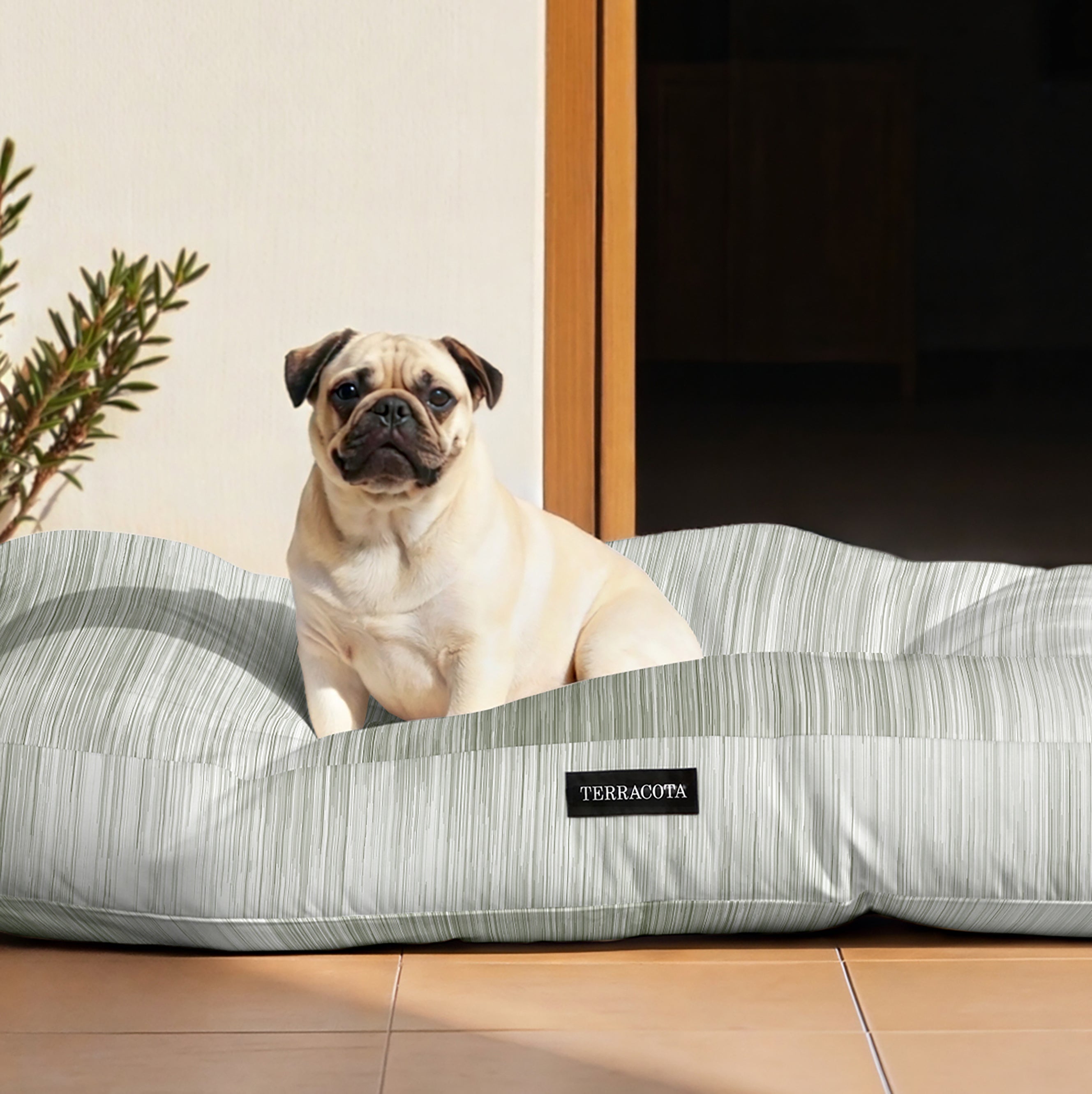 Thick, padded, stain-resistant pet bed Lluc Green