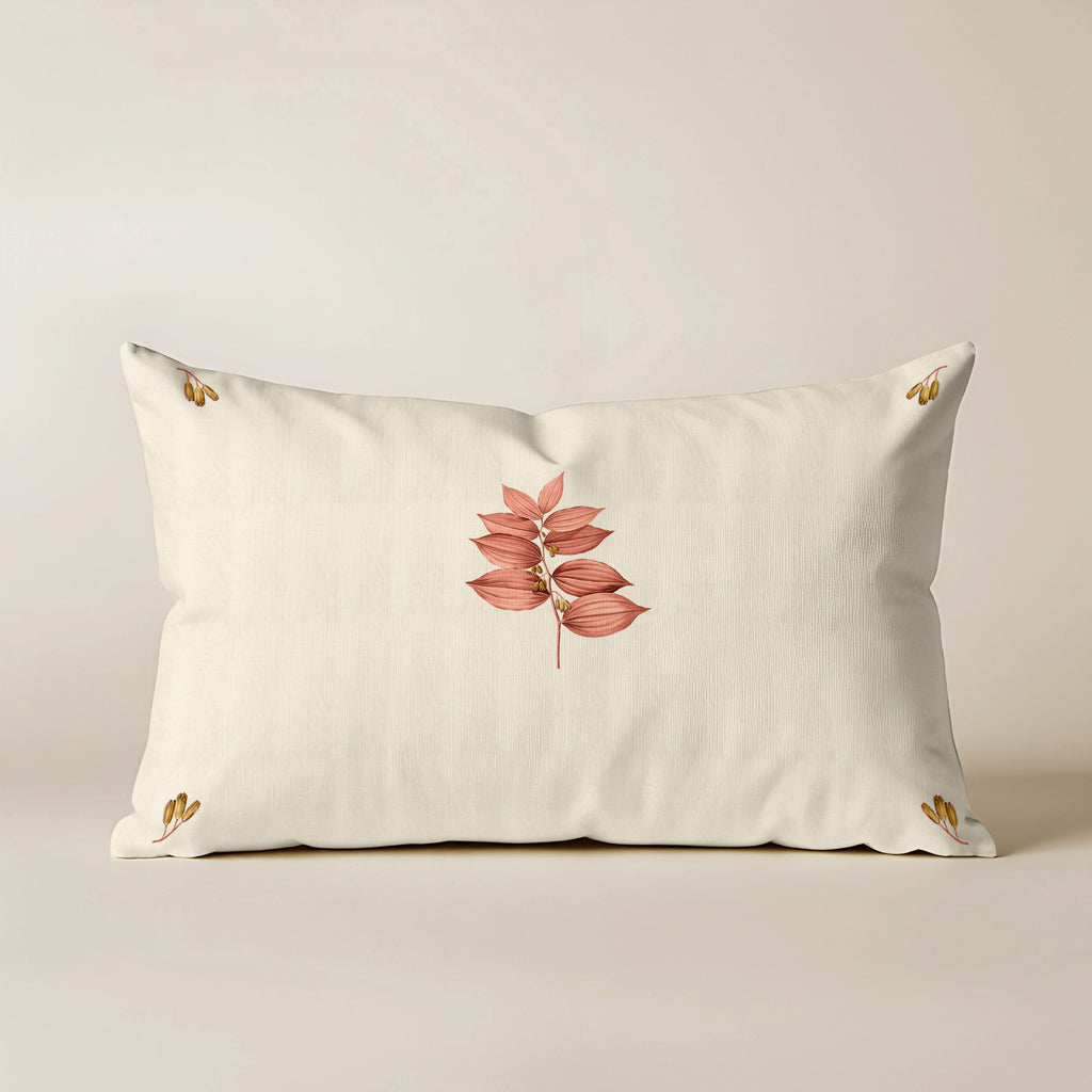 Funda de cojín 100% algodón 30x50 cm Loriguilla C