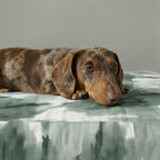 Luton 12 Thick Padded Pet Bed with Stain-Resistant Finish